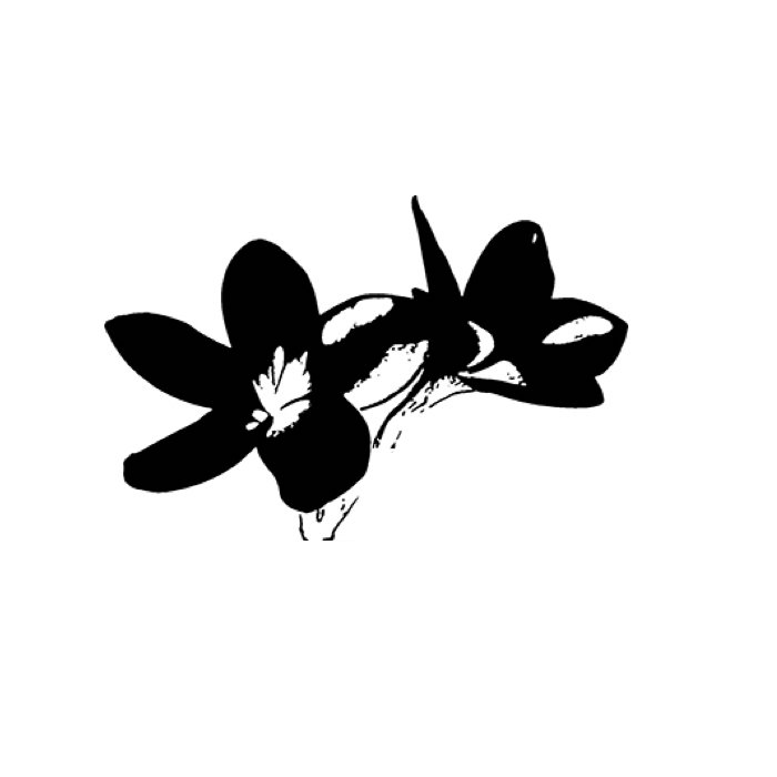 plumelia-logo